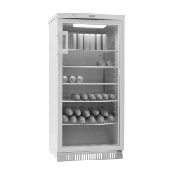 Шкаф холодильный POZIS Свияга -513-6